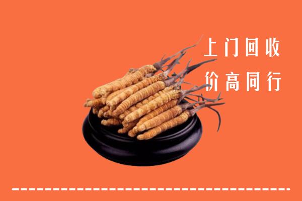 收购行情：仁和区冬虫夏草回收多少钱每克