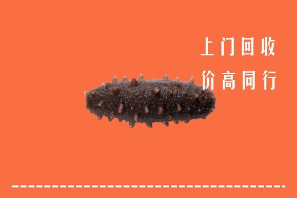 收购行情：仁和区回收海参