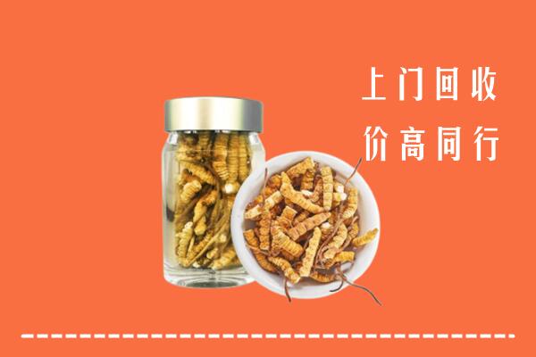 附近收购：仁和区回收冬虫夏草