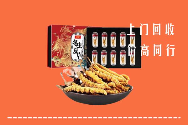 仁和区回收虫草